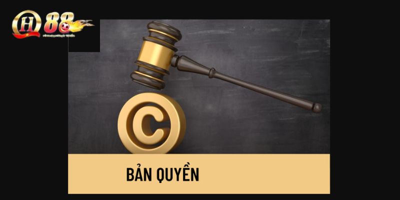 Tuyên bố bản quyền tại QH88