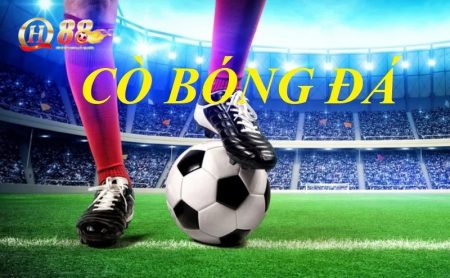 Tìm hiểu về cò cá cược bóng đá