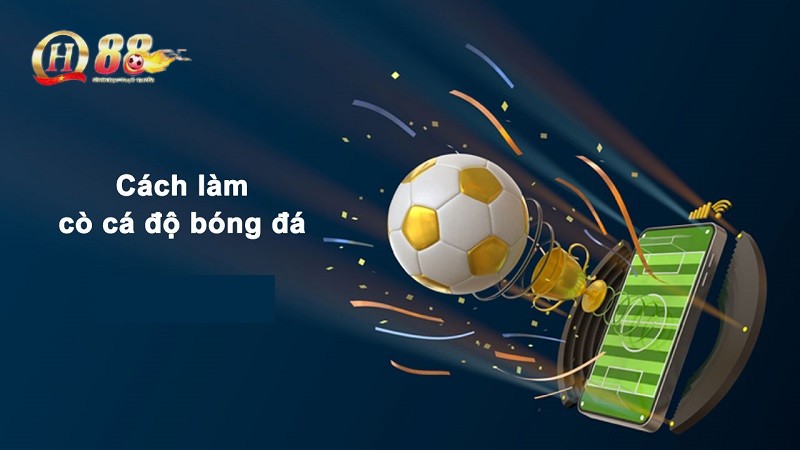 Tìm hiểu vai trò của cò cá cược bóng đá